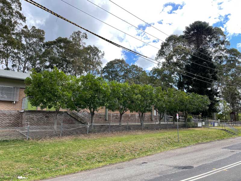 Tree pruning after