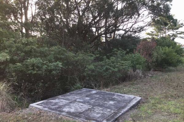 block-clear-before14C8C5AF-146D-6353-CE4F-47AC58C4533F.jpg