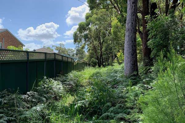 bushfire-mitigation-beforeCCF01446-36E4-4FB5-616C-266A9ADE18CE.jpg